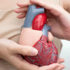 Best Cardiologist in Hyderabad