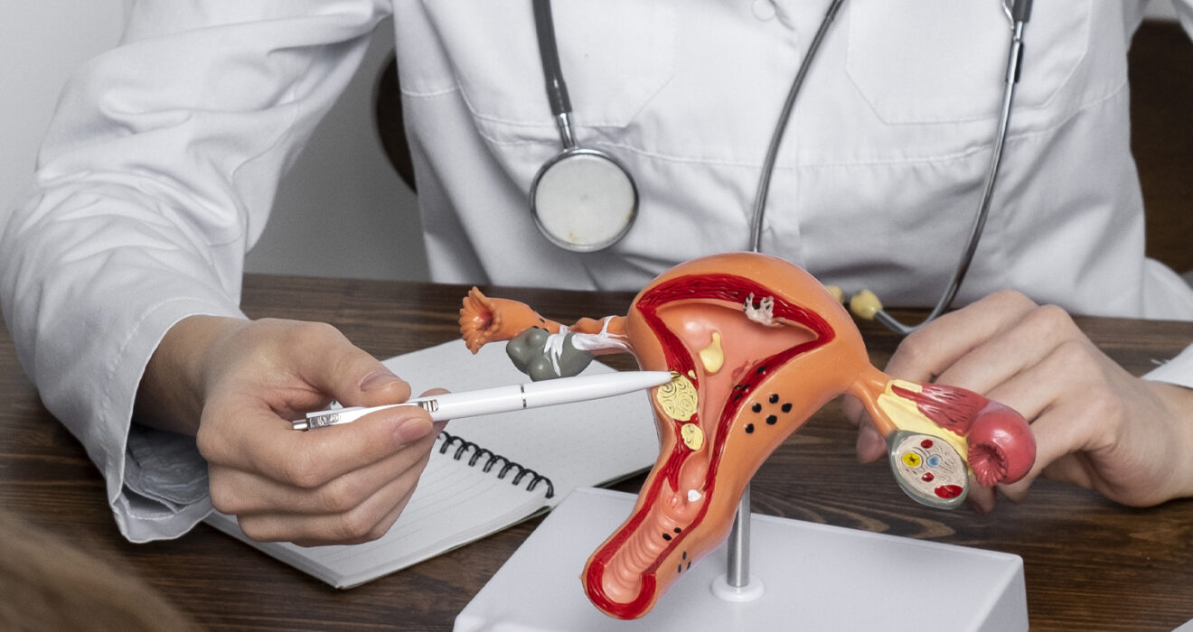 best gynacologist in narsingi